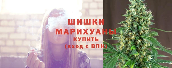 тгк Бронницы