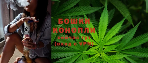 тгк Бронницы