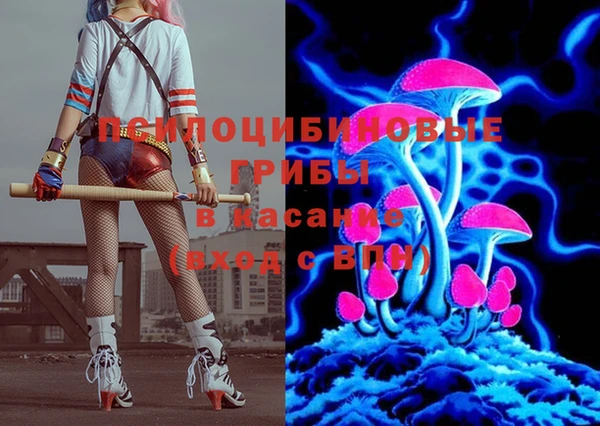мет Бородино