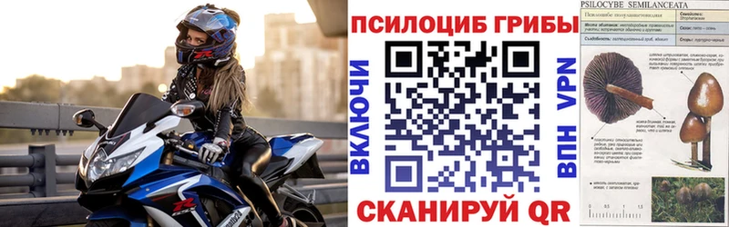 Купить где  Апрелевка  Псилоцибиновые грибы Psilocybine cubensis 